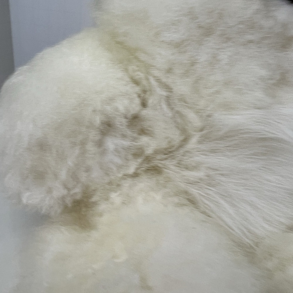 Alpaca Fur Teddy Bear Stuffed Animal 12" Soft Natural Plush White/ivory - Picture 8 of 11